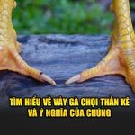 Tìm Hiểu Về Vảy Gà Chọi Thần Kê Và Ý Nghĩa Của Chúng